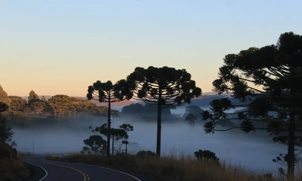 Previsão indica frio intenso e alerta para geada em áreas do Sul