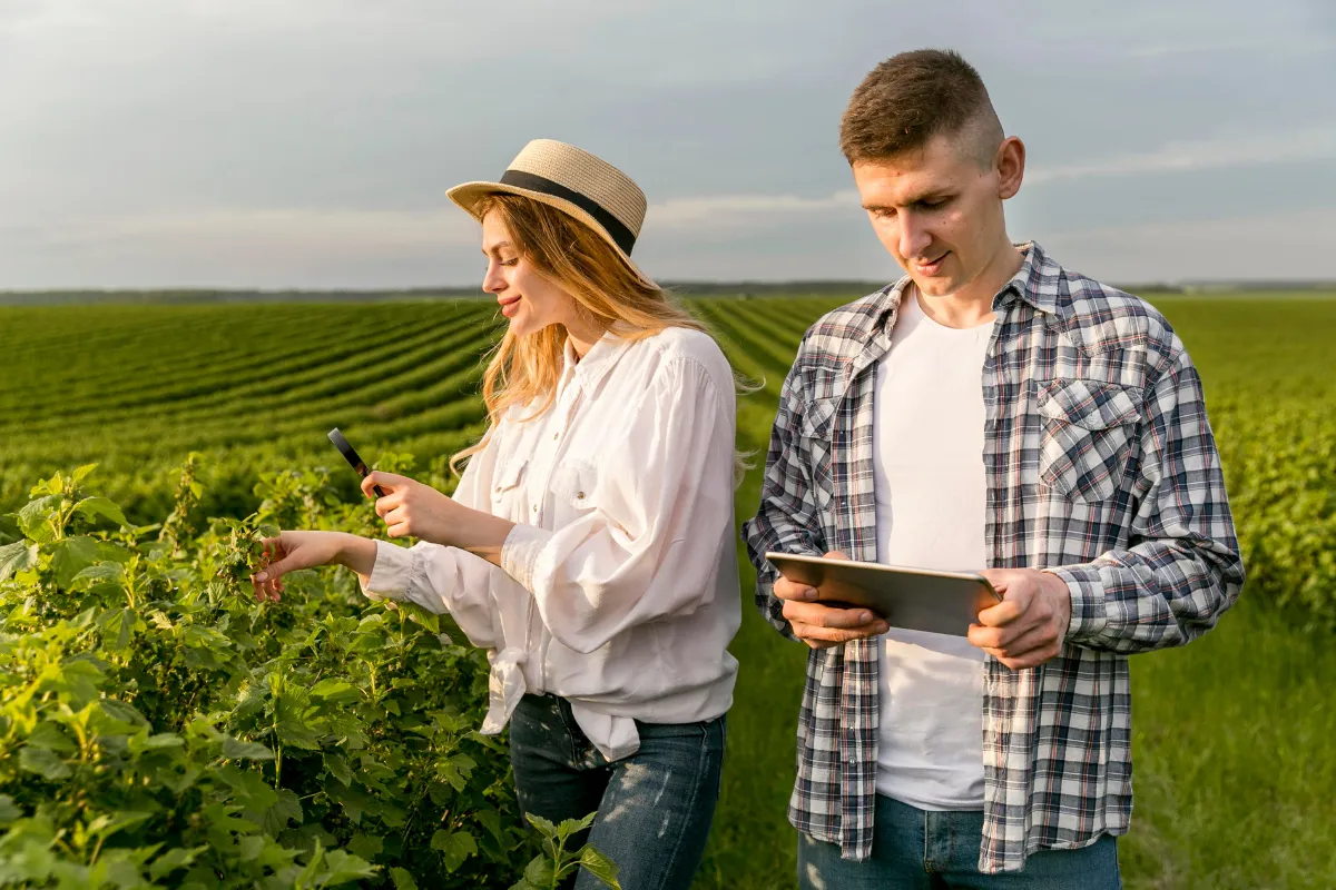 Produtores analisam plantações com apoio de tecnologia em campo para tomar decisões estratégicas no agronegócio.