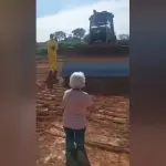 Maria da Paz, de 78 anos, se ajoelha diante de máquinas que tentam desapropriar seu terreno | Foto: Reprodução/Redes sociais