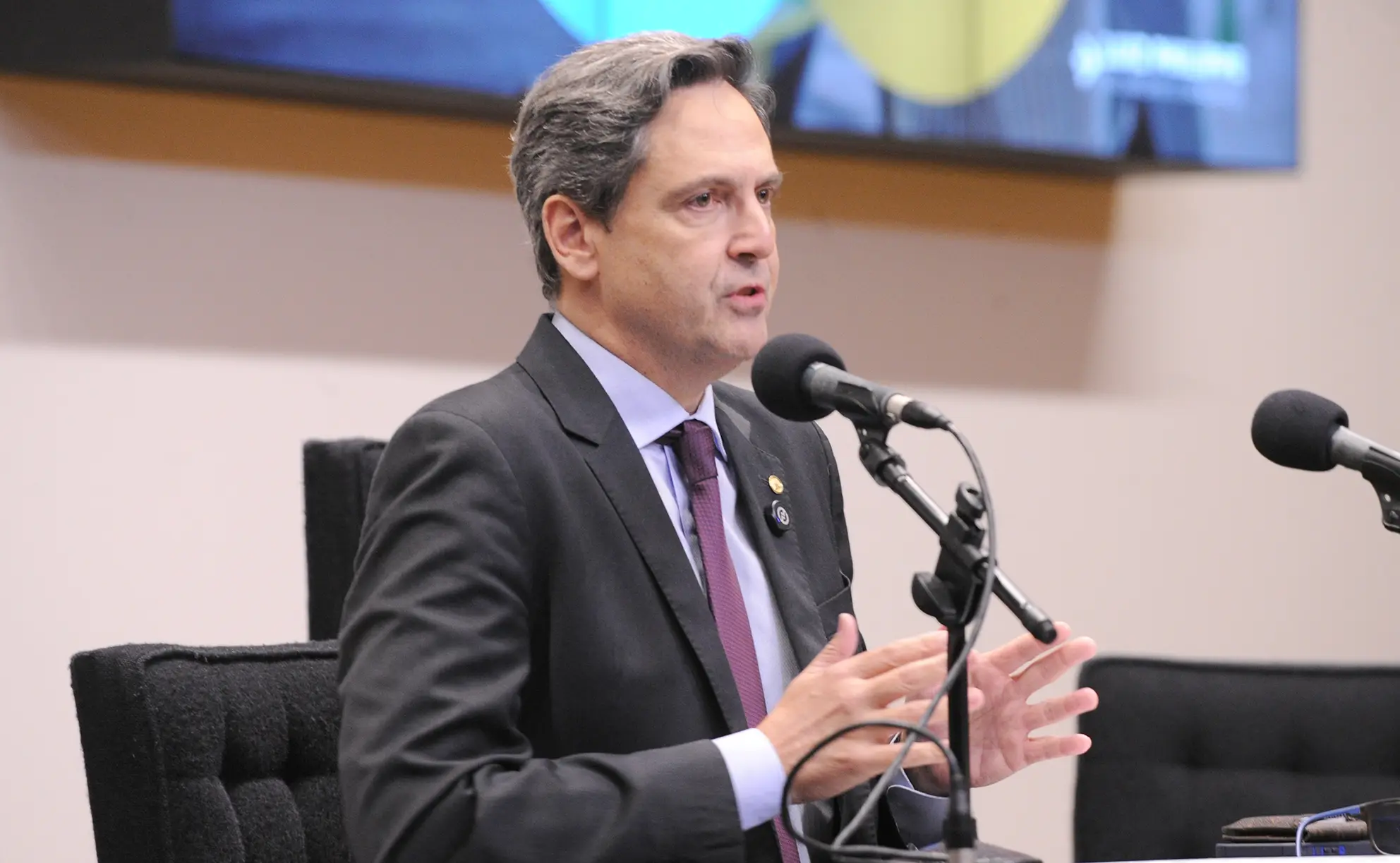 Luiz Philippe de Orleans e Bragança