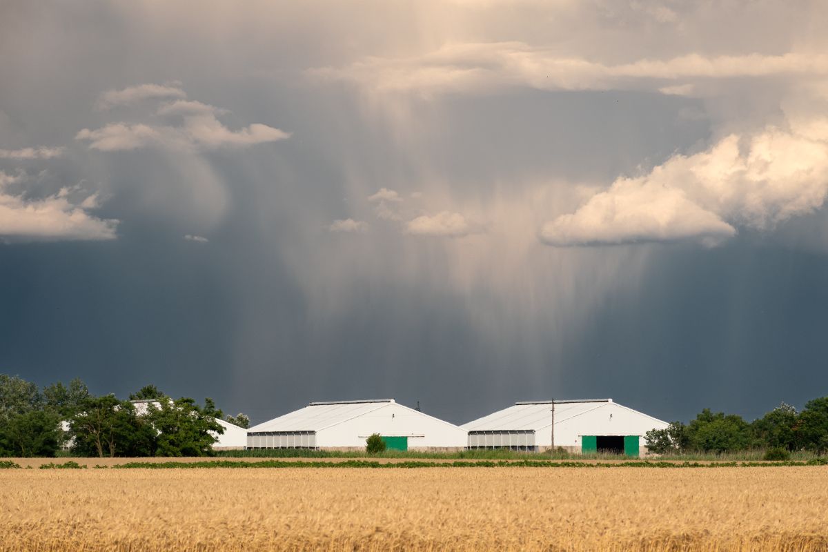 Tempestade com chuva intensa se aproximando de áreas agrícolas e galpões rurais.