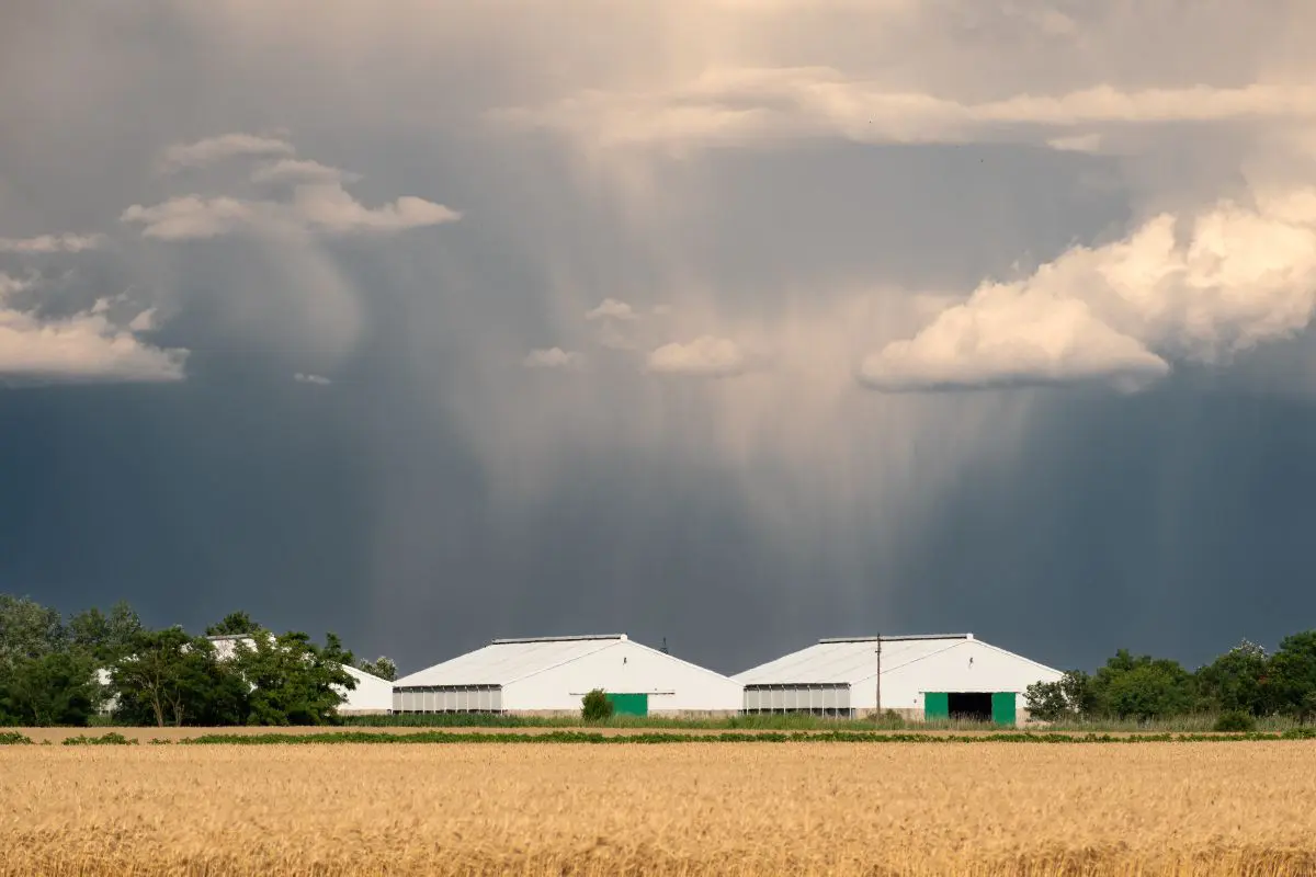 Tempestade com chuva intensa se aproximando de áreas agrícolas e galpões rurais.