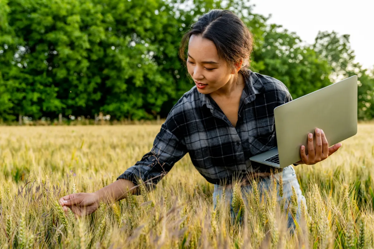 Mulher analisando plantação de grãos com notebook durante monitoramento da produção agrícola.