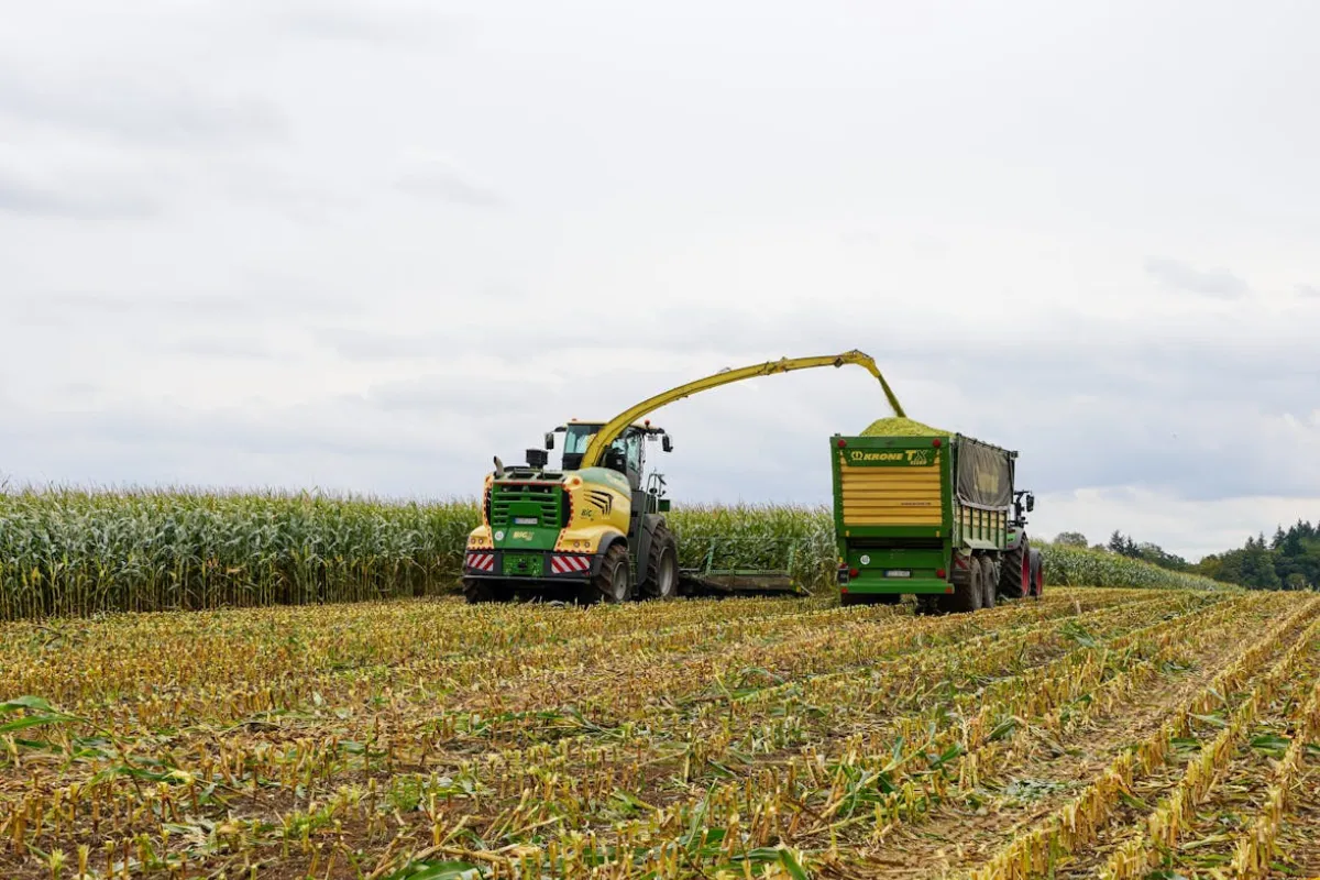 Produção de Milho no Campo: Mecanização e Gestão de Custos Agrícolas