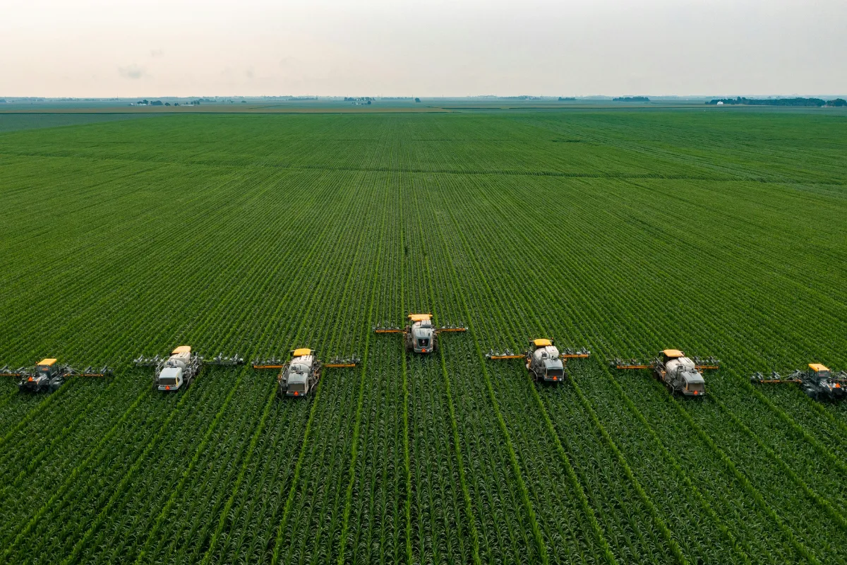Máquinas agrícolas alinhadas realizando pulverização em extensa plantação de grãos.