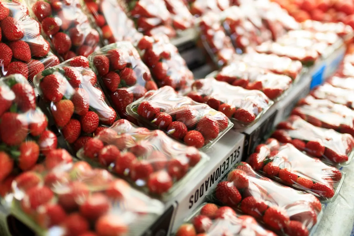 Bandejas de morangos frescos embalados e expostos para venda em mercado ou centro de distribuição.
