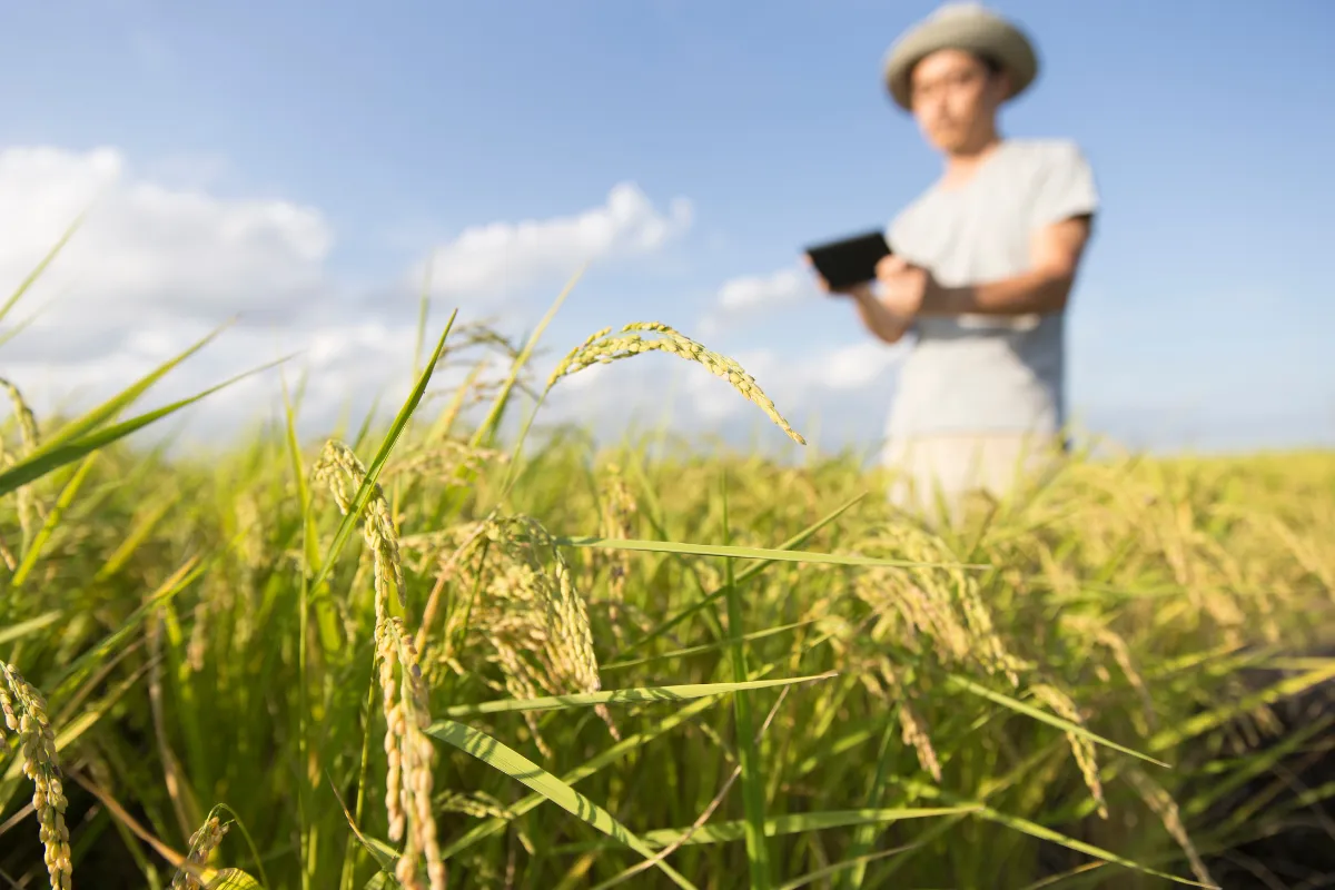 Produtor rural usando tablet para monitorar plantação agrícola em campo aberto.
