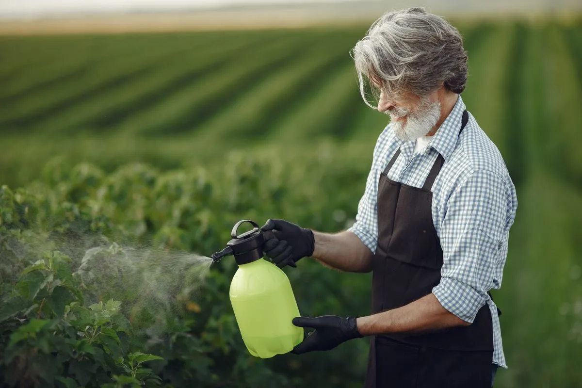 Homem idoso de pele clara, cabelos grisalhos e barba branca, vestindo camisa xadrez azul e avental preto, utiliza um pulverizador manual verde-limão para aplicar insumos em folhas de uma plantação, usando luvas de proteção pretas.