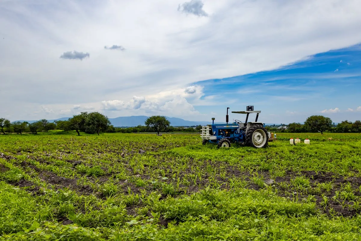 Vista em plano aberto de um trator azul e branco estacionado em um campo agrícola verdejante e irregular, sob um céu azul com nuvens brancas e montanhas distantes ao fundo.