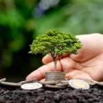 Árvore crescendo sobre pilhas de moedas com uma mão ao fundo, simbolizando investimento sustentável e crescimento financeiro.