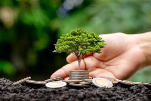 Árvore crescendo sobre pilhas de moedas com uma mão ao fundo, simbolizando investimento sustentável e crescimento financeiro.