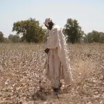 Os subsídios agrícolas na Europa reduzem os preços globais e prejudicam as exportações de commodities de países africanos como o Mali | Foto: Shutterstock