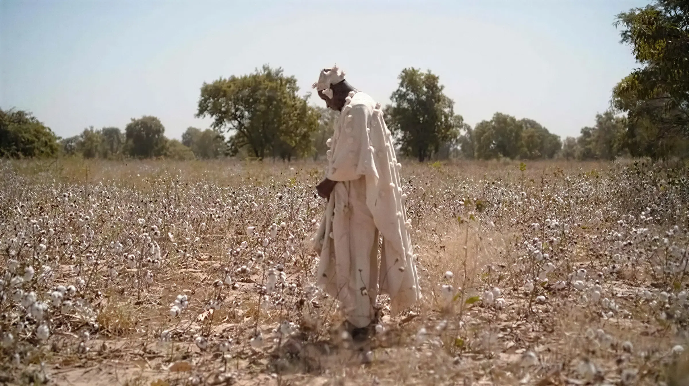 Os subsídios agrícolas na Europa reduzem os preços globais e prejudicam as exportações de commodities de países africanos como o Mali | Foto: Shutterstock