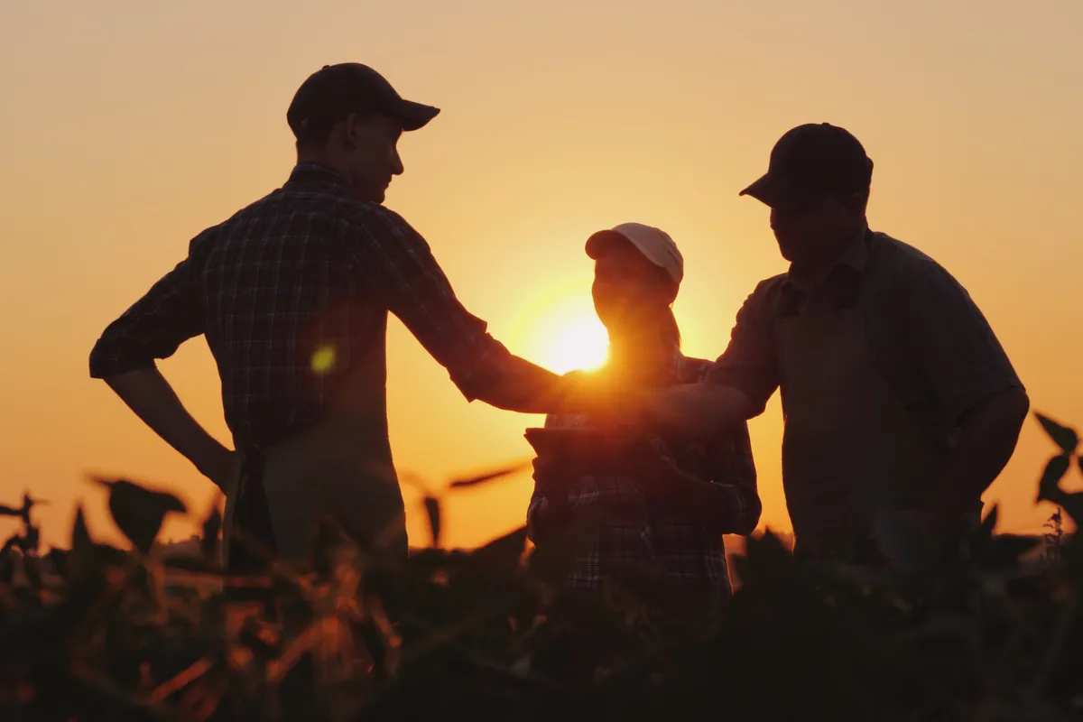Produtores reunidos na lavoura ao pôr do sol conversando sobre atividades ligadas ao agronegócio no campo.
