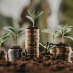Mudas crescendo sobre pilhas de moedas representam investimentos de longo prazo financiados pelo Plano Safra no agronegócio.
