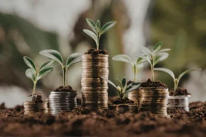 Mudas crescendo sobre pilhas de moedas representam investimentos de longo prazo financiados pelo Plano Safra no agronegócio.