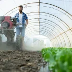 Agricultor operando equipamento agrícola dentro de uma estufa de cultivo.