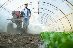 Agricultor operando equipamento agrícola dentro de uma estufa de cultivo.