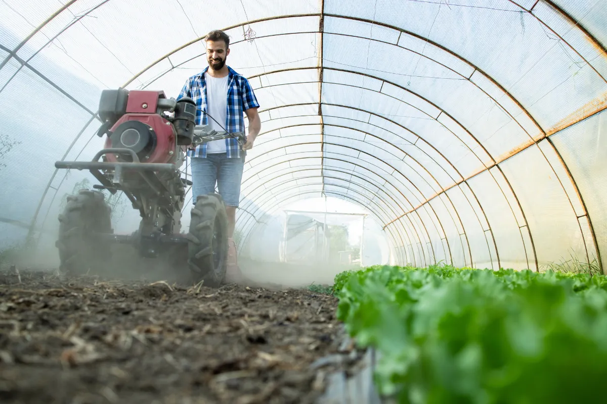 Como a política agrícola define a rentabilidade e o risco do produtor?