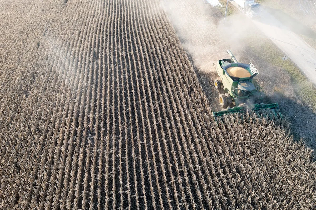 Como decisões políticas afetam o agronegócio no Brasil?