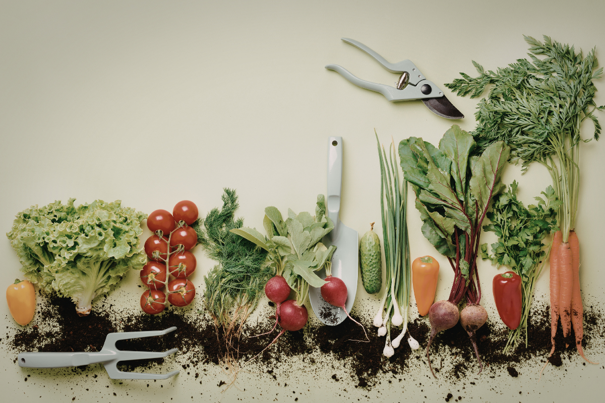 O que é segurança alimentar e qual o papel do agro no abastecimento nacional e global?