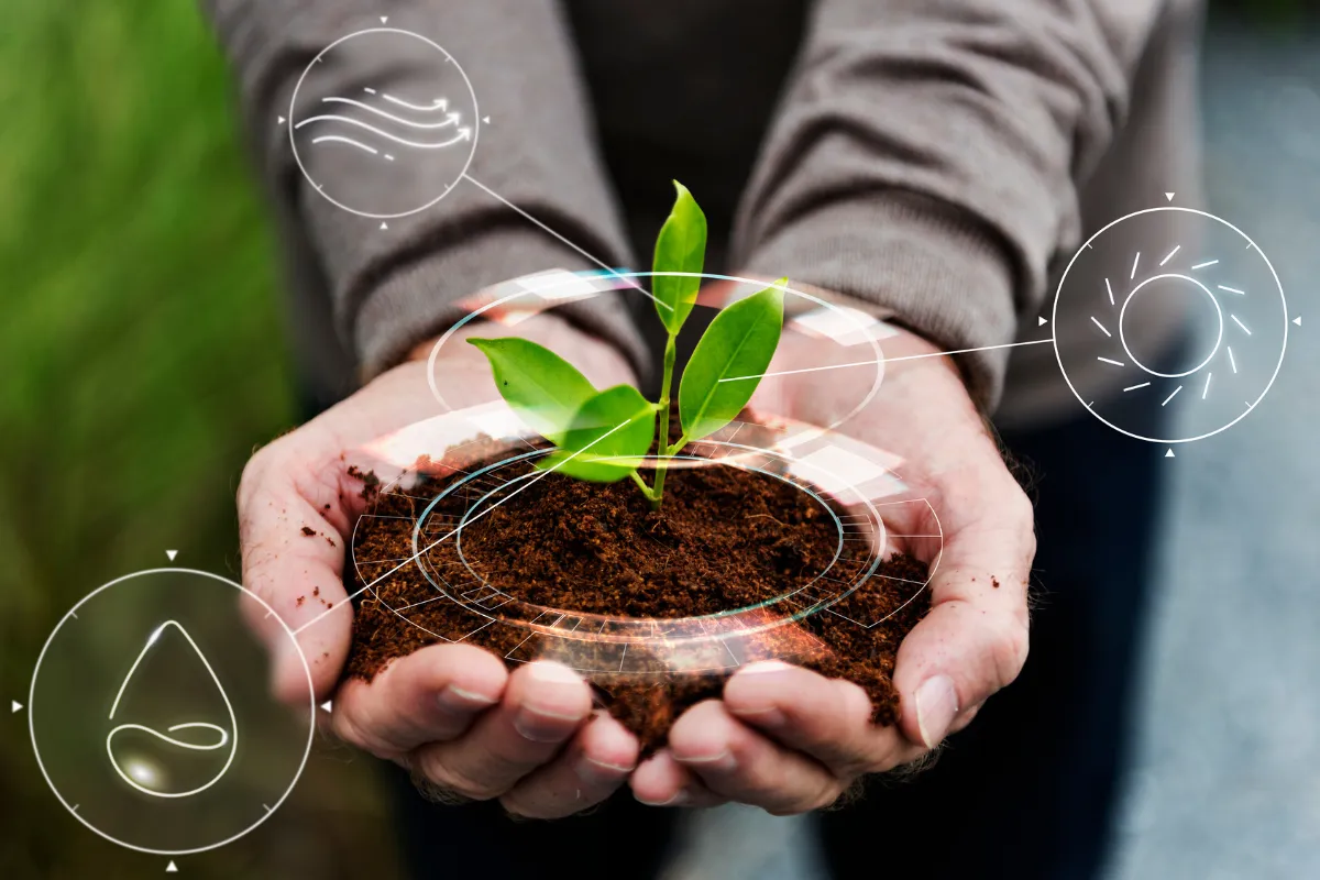 Mãos seguram muda em solo fértil com elementos gráficos que simbolizam tecnologia e sustentabilidade no agronegócio.