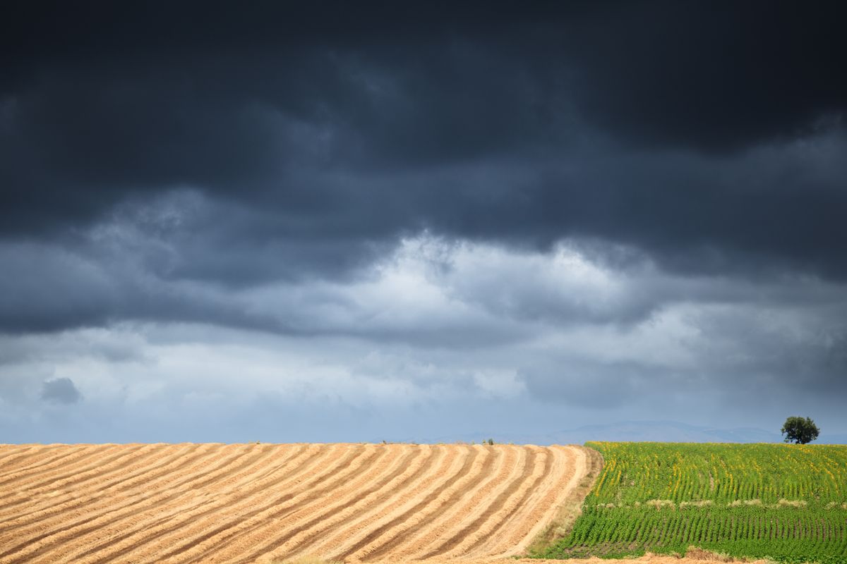 O que é zoneamento agrícola de risco climático?