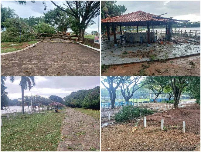 montagem chuva riberião preto