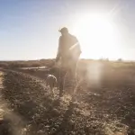 Programa A Força do Agro dia 10 de julho