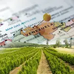 Programa A Força do Agro dia 16 de julho