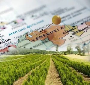 Programa A Força do Agro dia 16 de julho