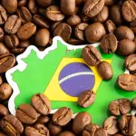 Programa A Força do Agro dia 2 de junho