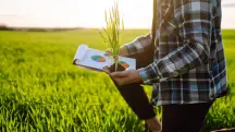 Programa A Força do Agro dia 7 de julho
