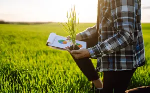 Programa A Força do Agro dia 7 de julho