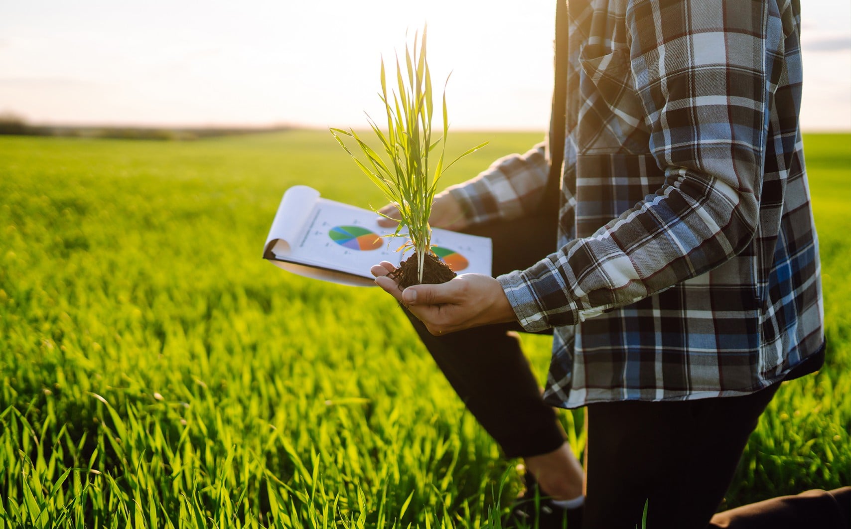 Sustentabilidade agrícola é destaque em visita a fazenda modelo