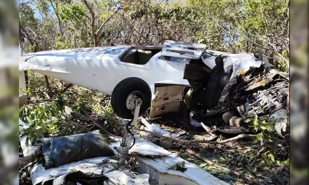 Avião ficou destruído depois de queda em Tocantins / Foto: Divulgação