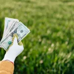 Close de uma mão erguida vestindo luva de proteção branca e verde, segurando um maço de notas de dólares americanos em leque diante de um campo verde desfocado.
