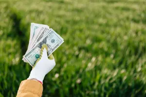 Close de uma mão erguida vestindo luva de proteção branca e verde, segurando um maço de notas de dólares americanos em leque diante de um campo verde desfocado.