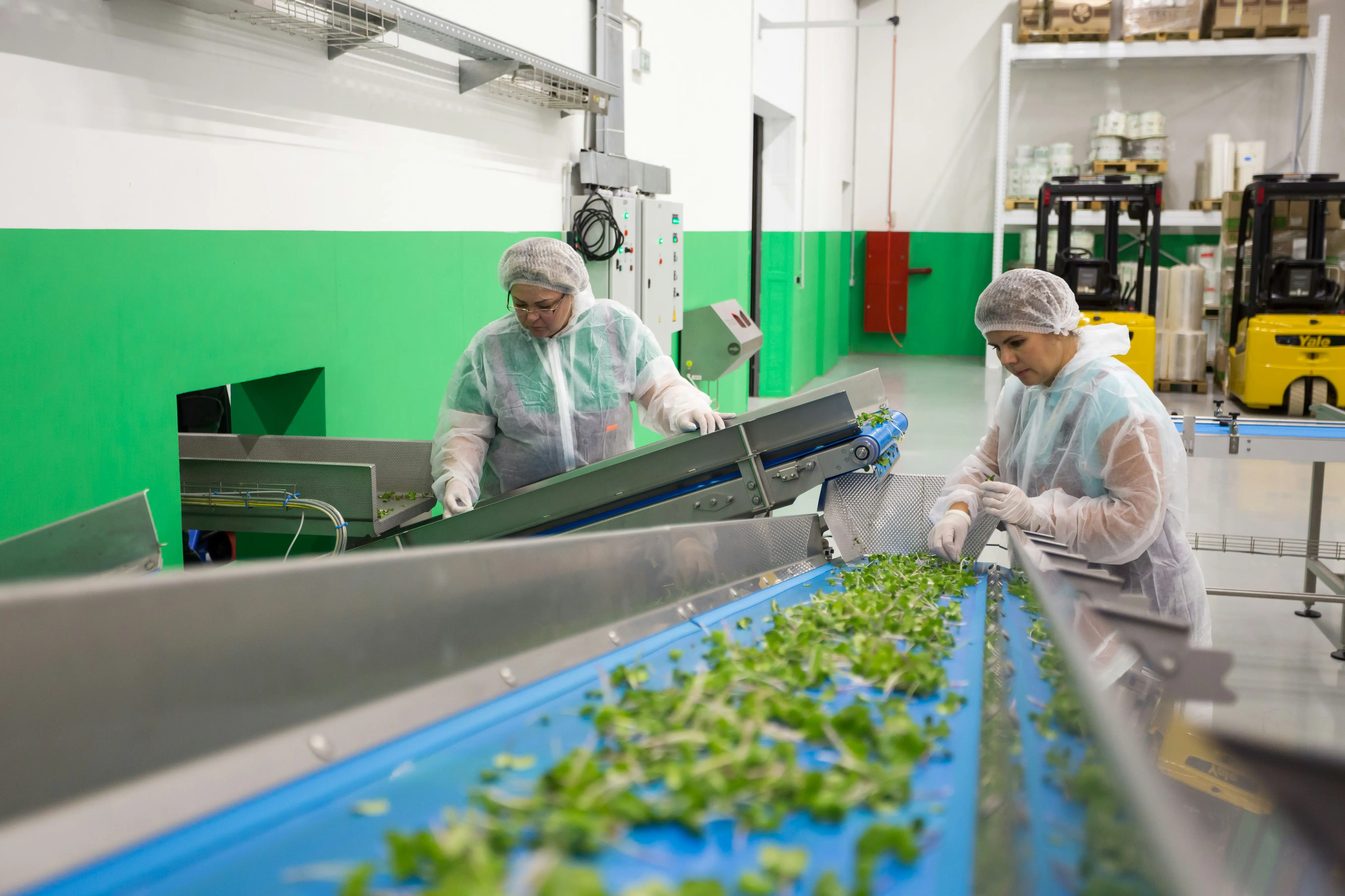 Produção de bioplásticos em fábrica moderna com foco na sustentabilidade