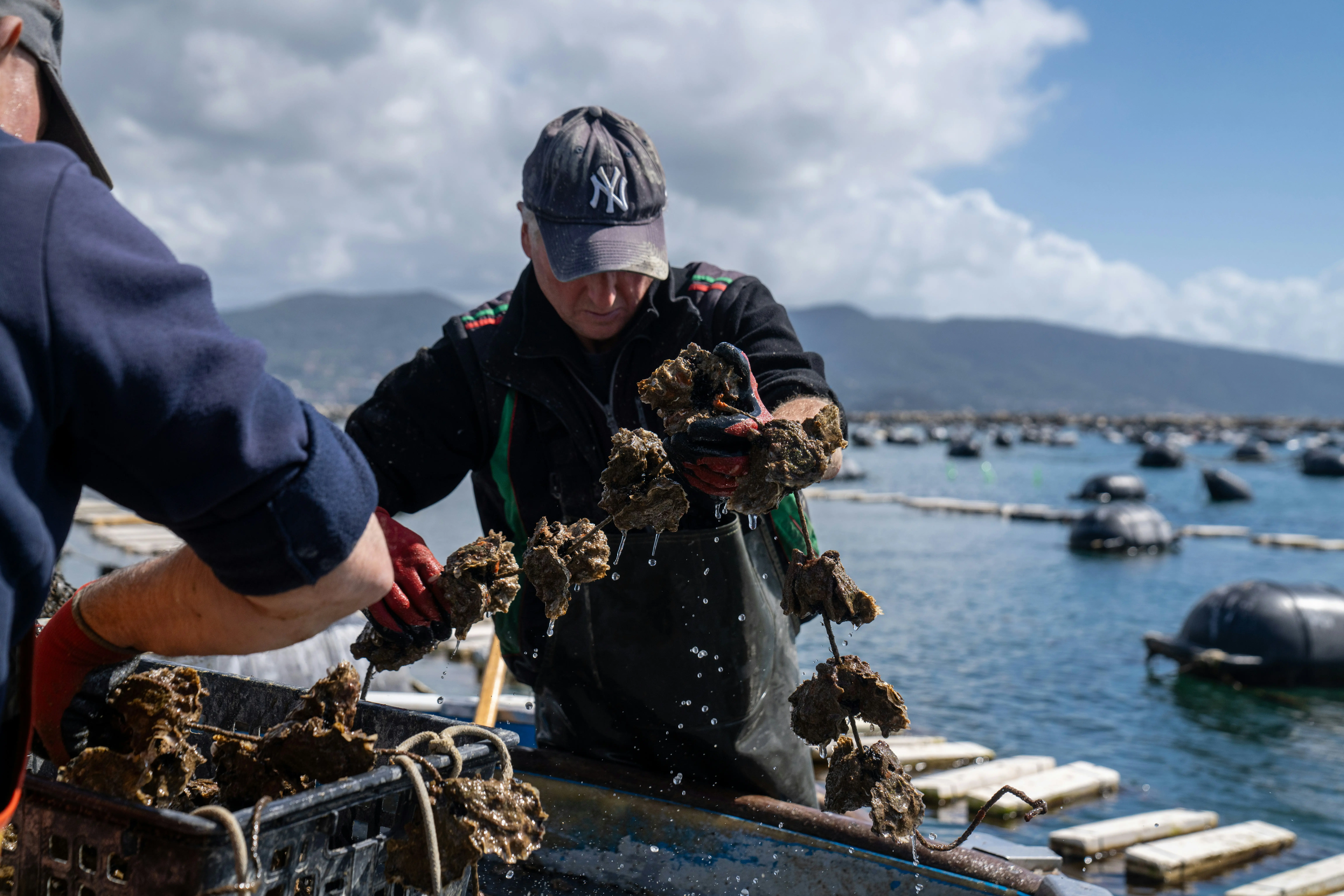 Cientista marinho coletando amostras de água do oceano