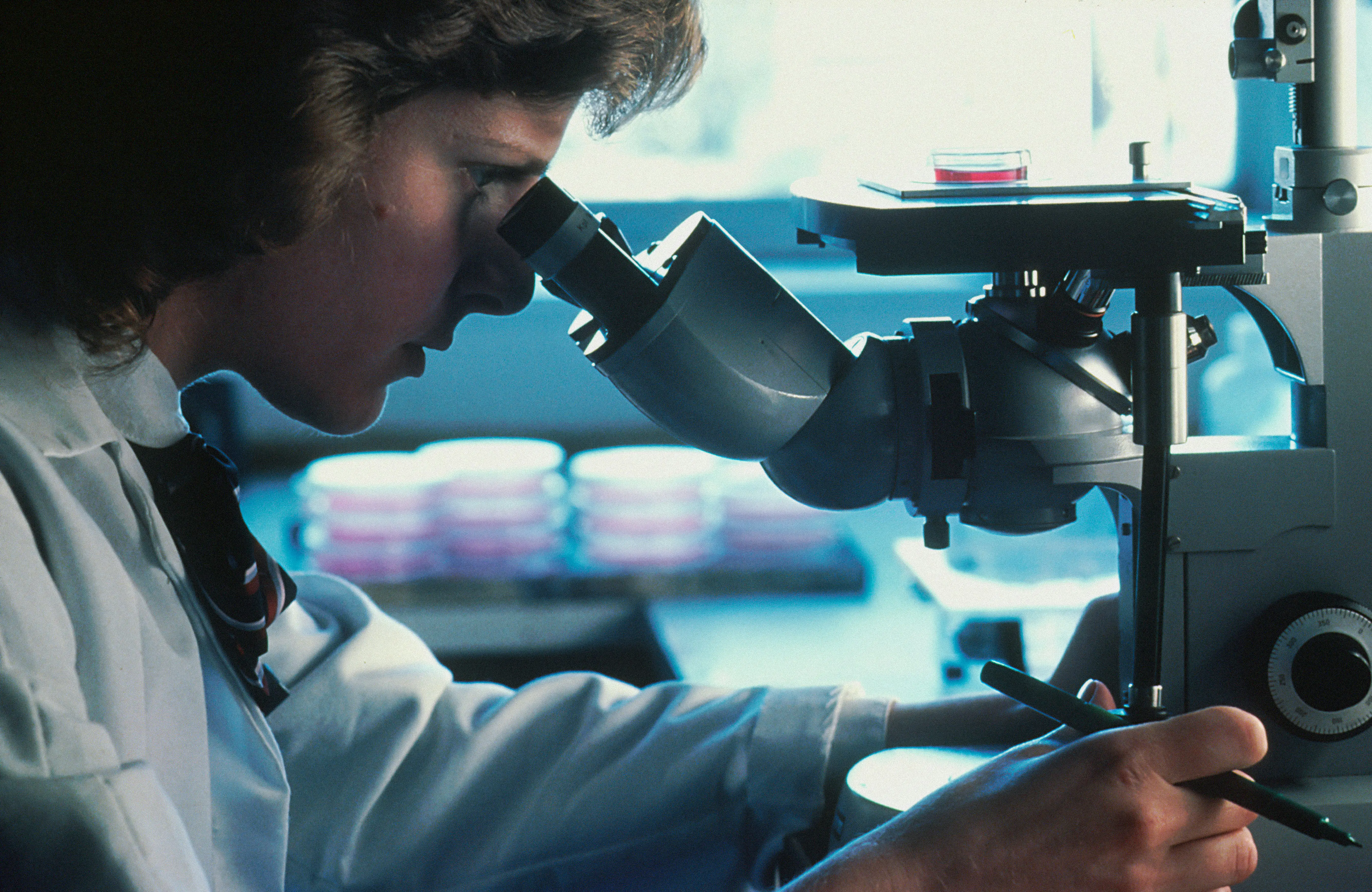 Cientistas analisando amostras de rochas em busca de evidências de vida antiga