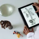Ilustração do corpo humano com destaque para sistemas e órgãos