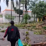 Mulher caminha por praça devastada por temporal em Ribeirão Preto (SP) | Foto: Reprodução/X