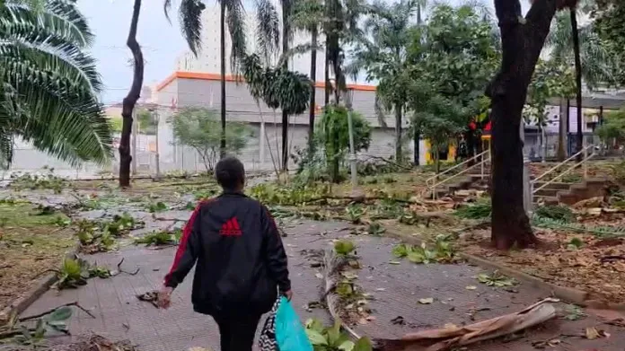 Mulher caminha por praça devastada por temporal em Ribeirão Preto (SP) | Foto: Reprodução/X