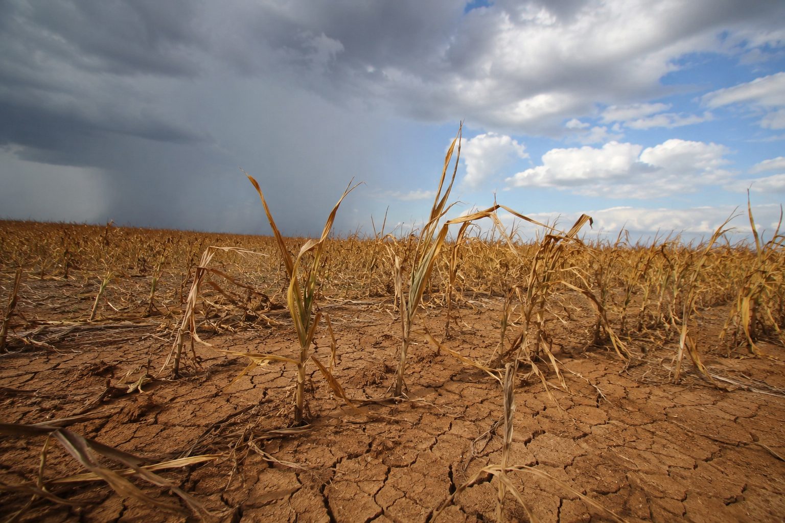 El Niño pode afetar a safra 2026/27