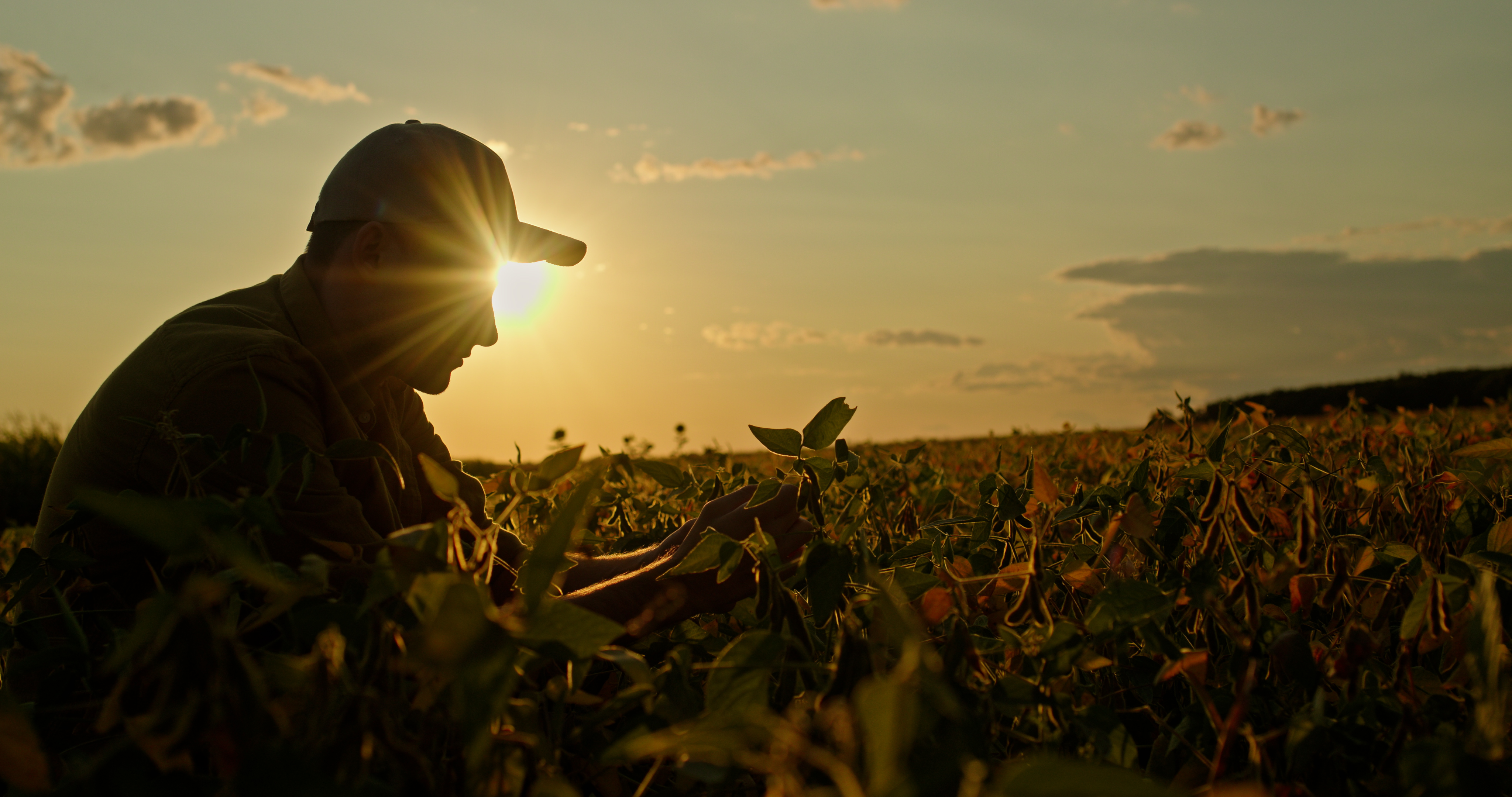Faesp alerta para riscos ao agronegócio e defende negociação com EUA sobre tarifas