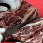 carne pecuária brasileira