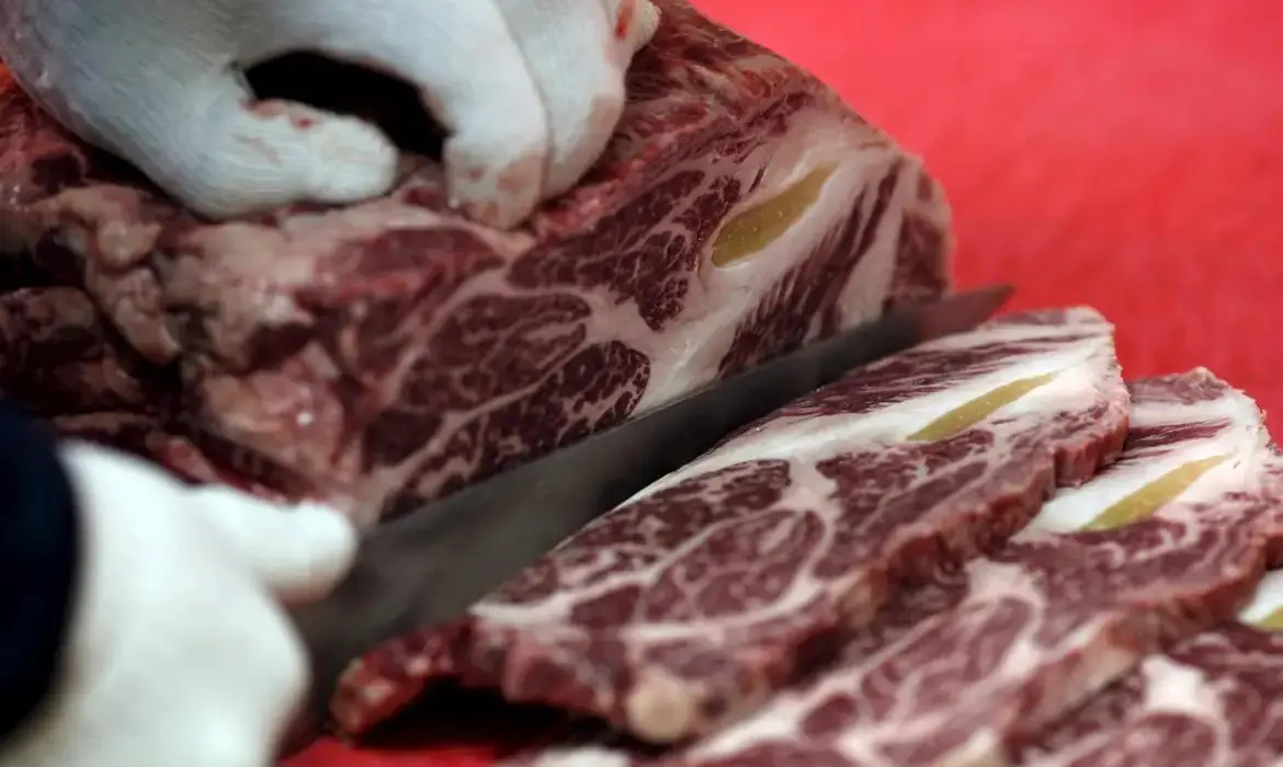 carne pecuária brasileira