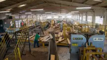 tarifaço industria madeira