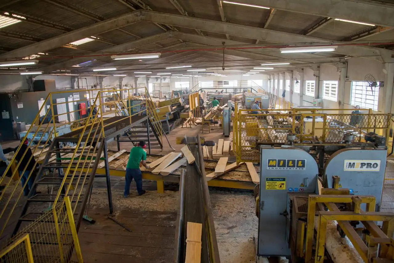tarifaço industria madeira